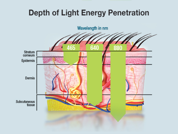 Light_Penetration.png